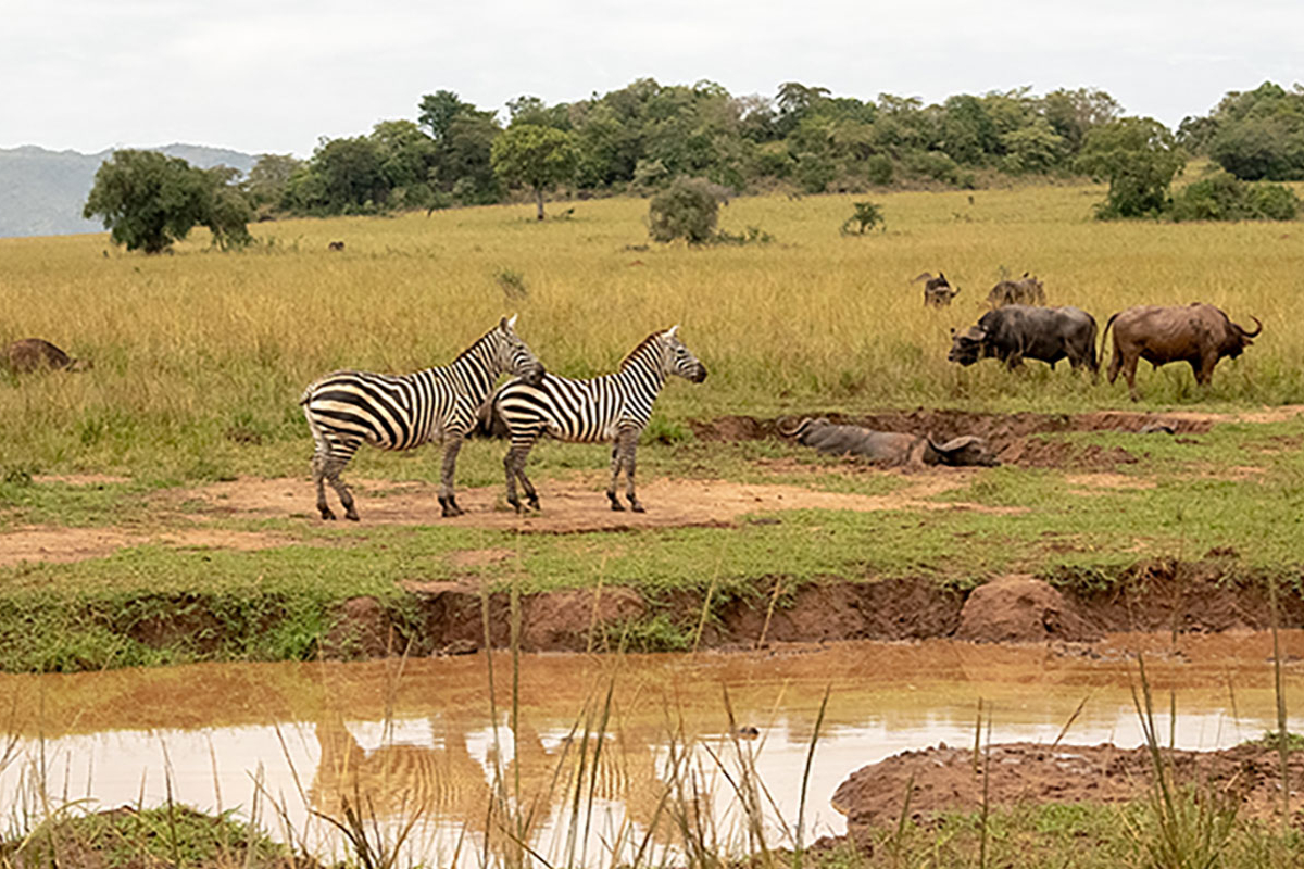 Kidepo valley National Park