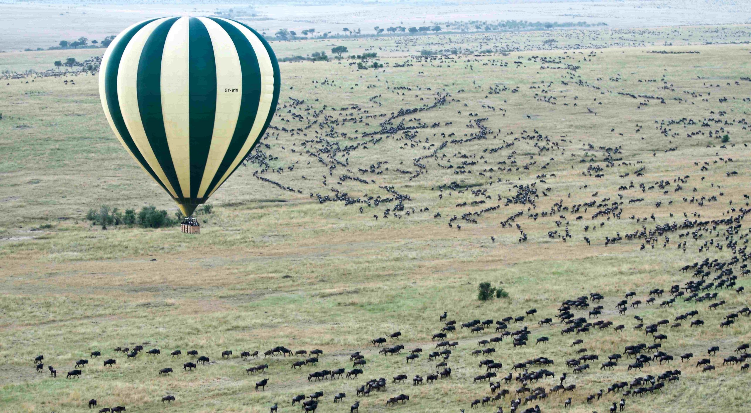 Top 8 Safari Destinations in Kenya