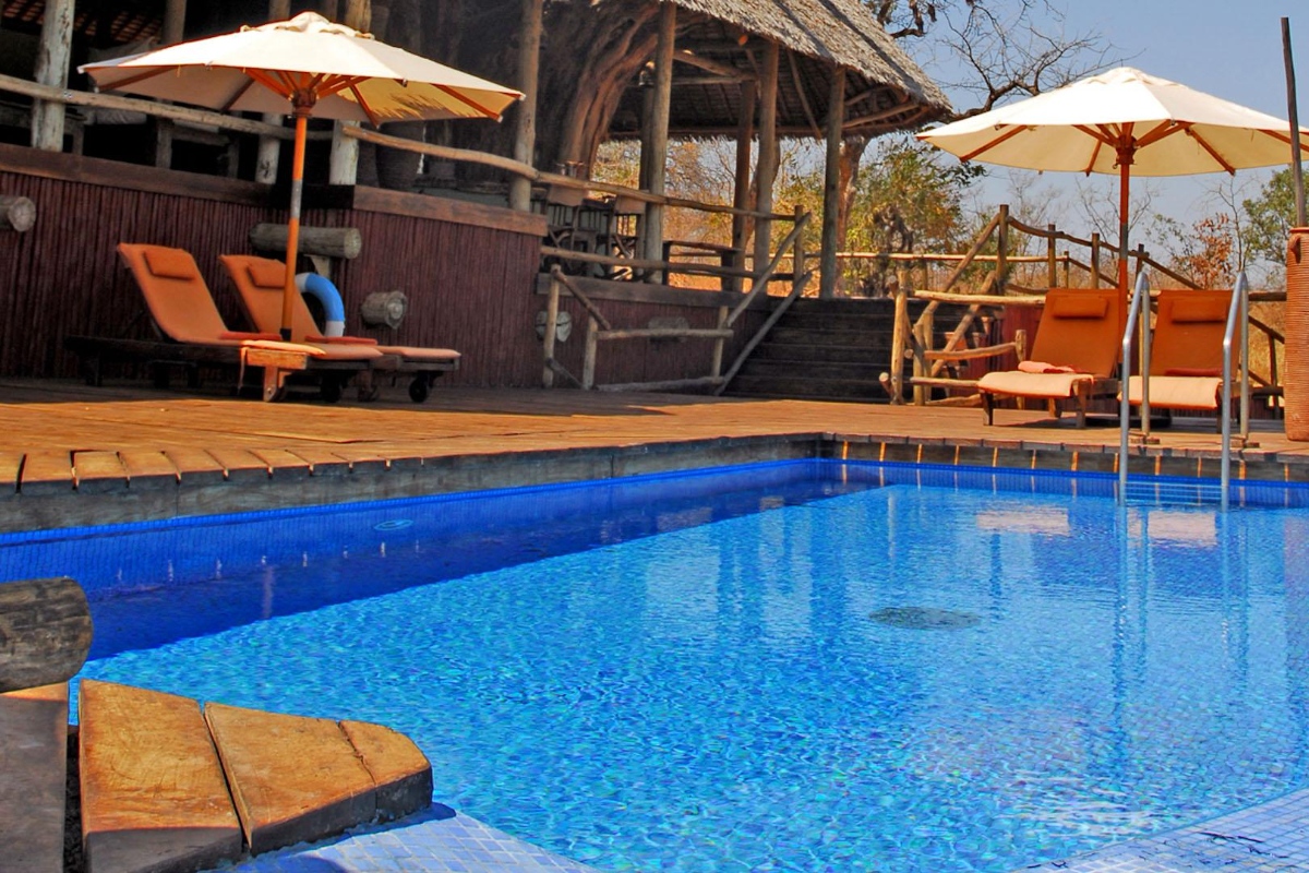 Elewana Tarangire Treetops lodge