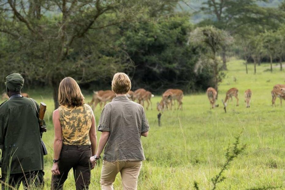 Walking Safaris in Africa