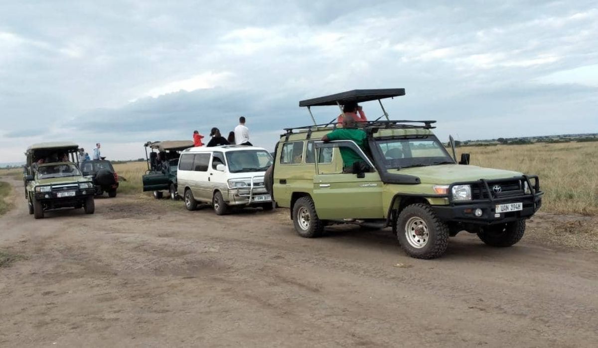 Top Safari Activities in East Africa