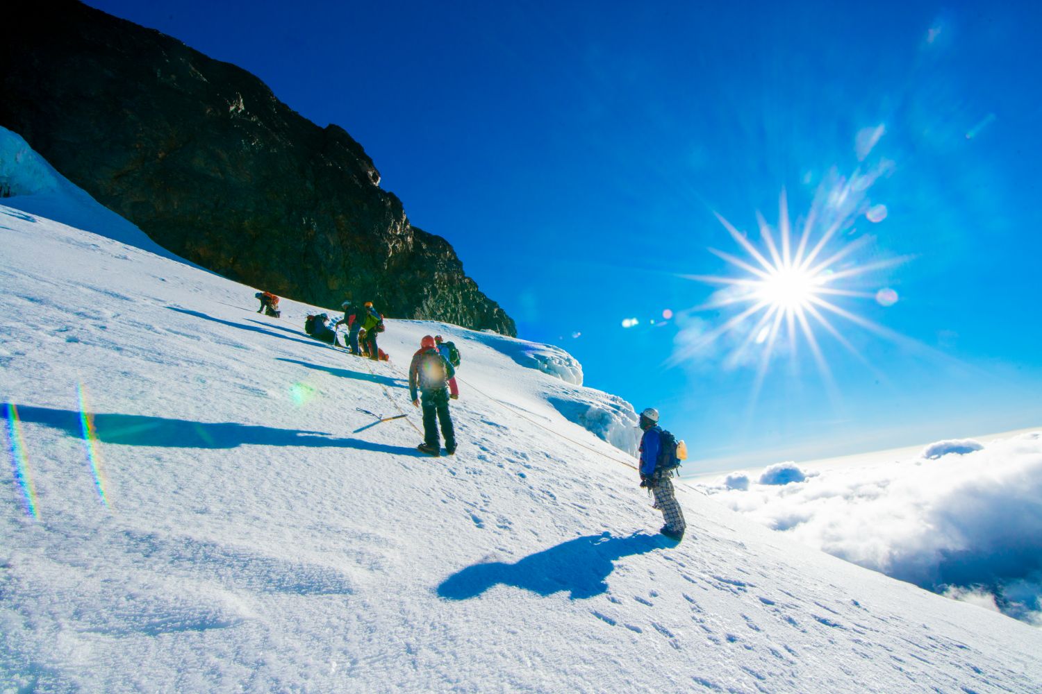 Rwenzori mountains national park