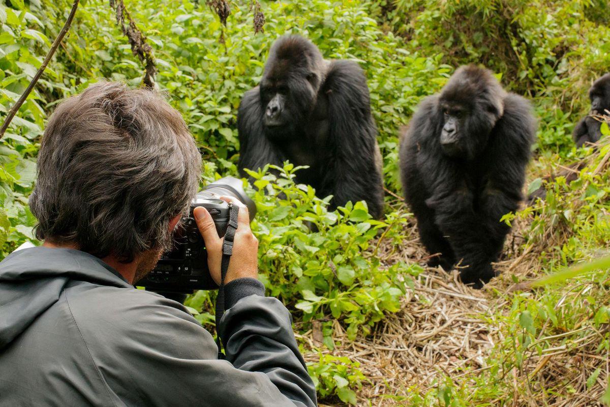 Photography Safaris in East Africa