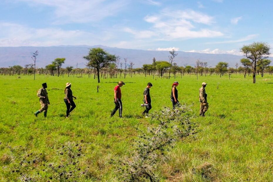 Photography Safaris in East Africa