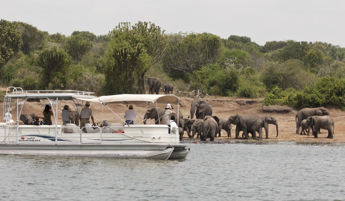 Boat safari in Uganda