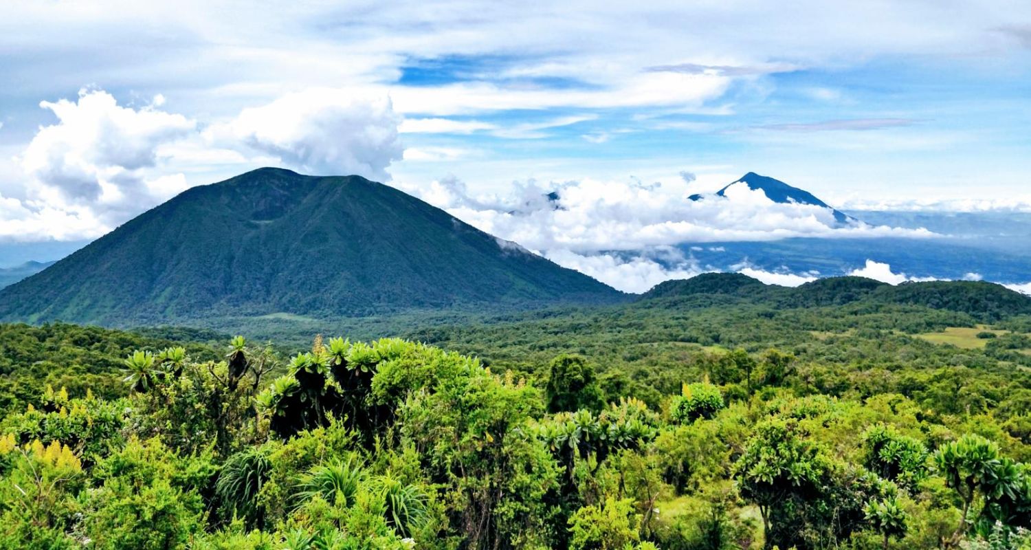 mountain hiking in East Africa - karisimbi mountain Rwanda