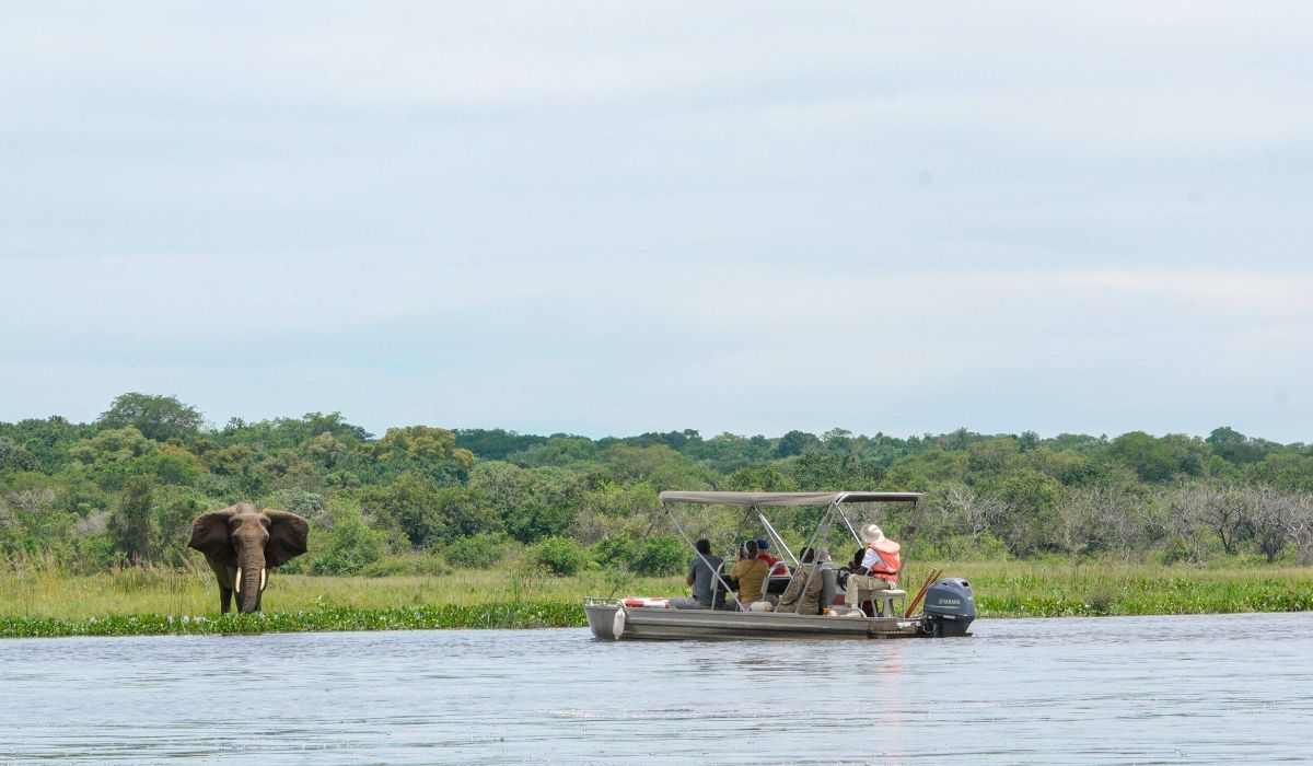 Boat Safari in Uganda at Kazinga channel in Queen Elizabeth Park