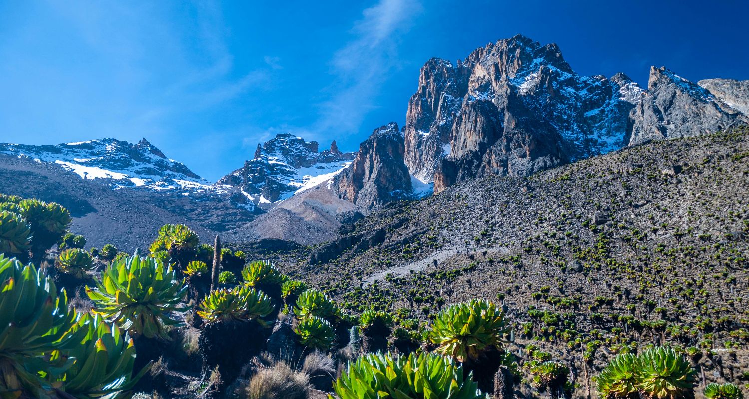 mountain hiking in East Africa - mt Kenya