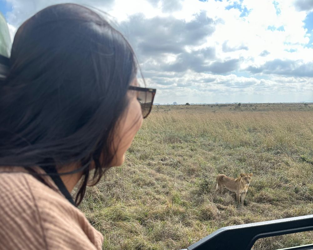 Where to See Lions in Uganda