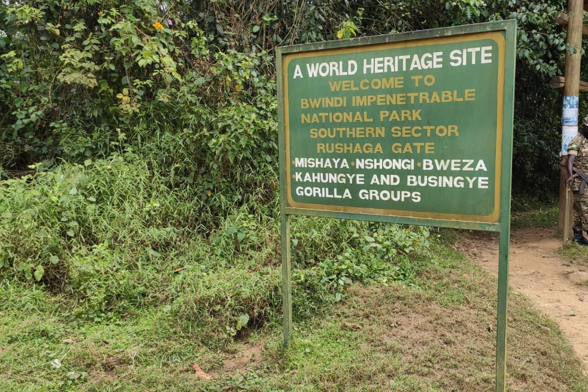 World Heritage Sites in Uganda - Bwindi