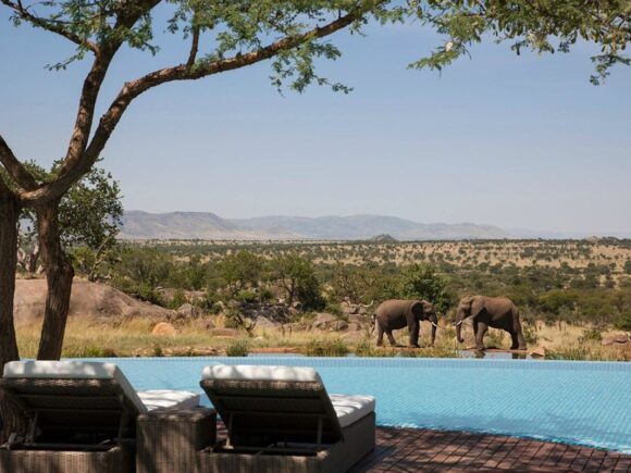 Africa Safari Booking