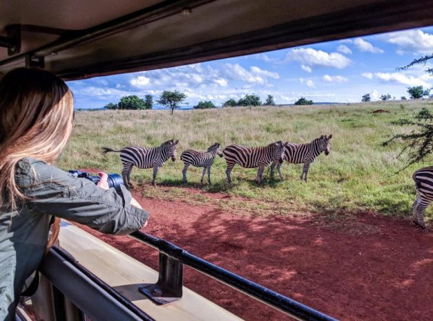 Akagera National Park