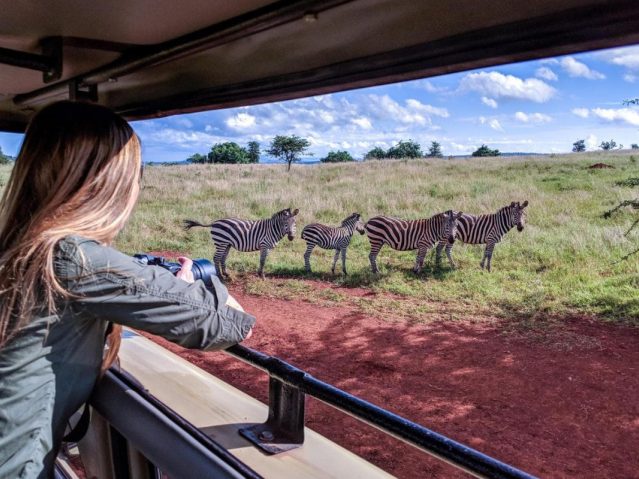 Akagera National Park