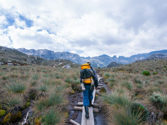 Rwenzori mountains national park Uganda