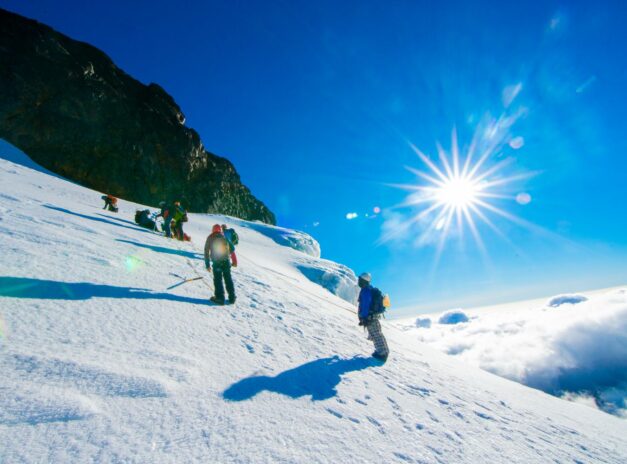 Rwenzori mountains national park