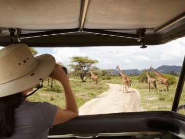 6 Best Tanzania Safari Destinations