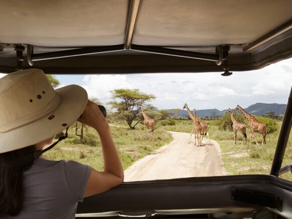 6 Best Tanzania Safari Destinations