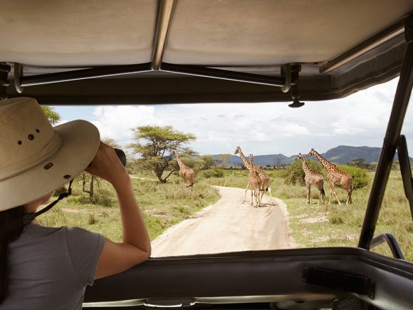 6 Best Tanzania Safari Destinations