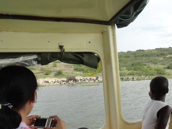 Boat Safari in Uganda