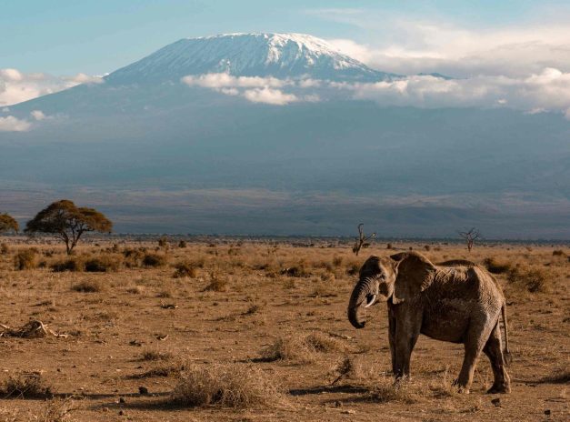 Kilimanjaro National Park