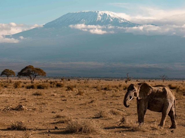 Kilimanjaro National Park