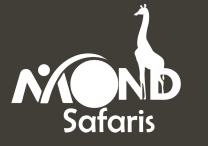 swift safaris uganda