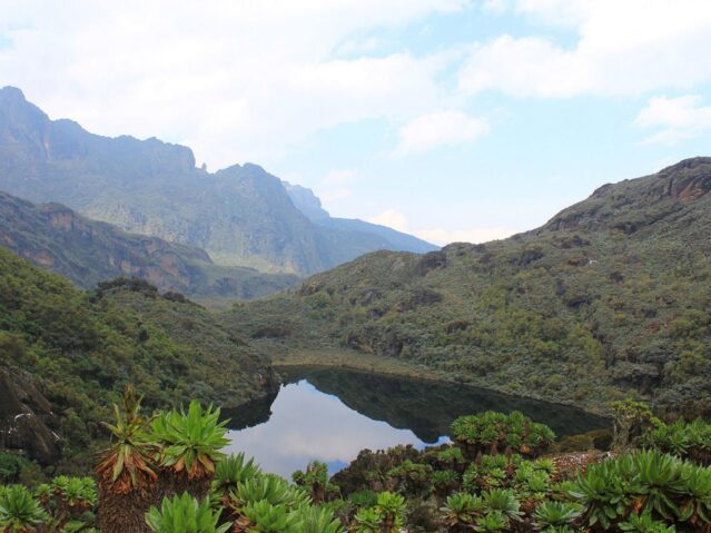 Rwenzori mountains national park