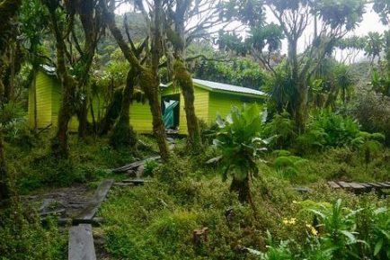 Mutinda-camp in rwenzori mountains