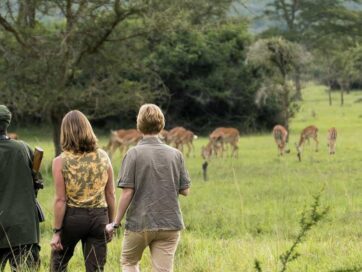 Walking Safaris in Africa