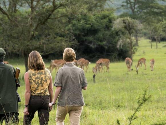 Walking Safaris in Africa