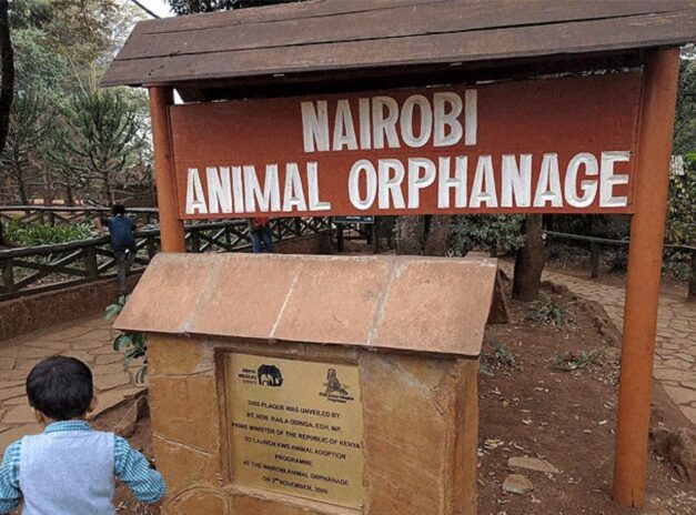 VISIT THE ANIMAL ORPHANAGE