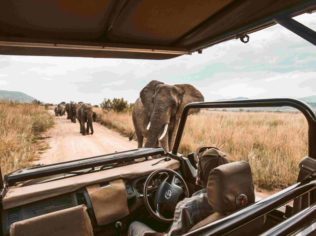 safari holidays uganda