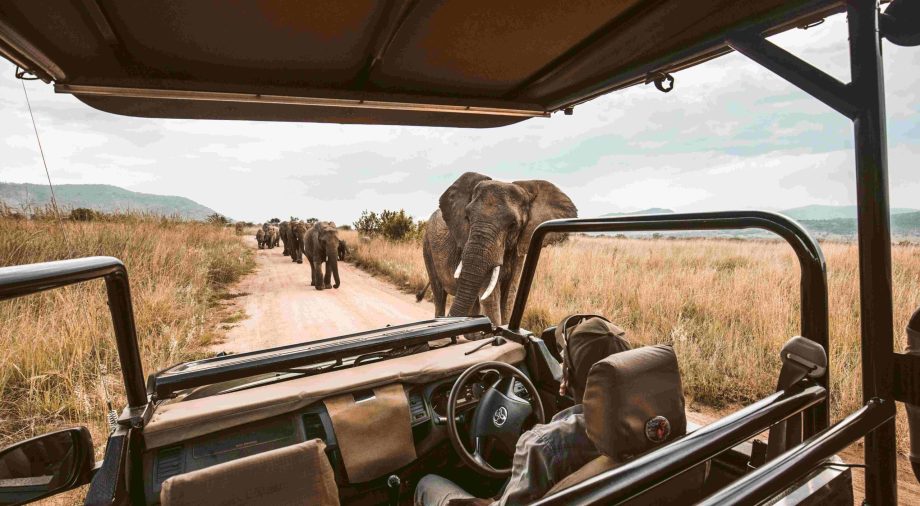 safari holidays uganda
